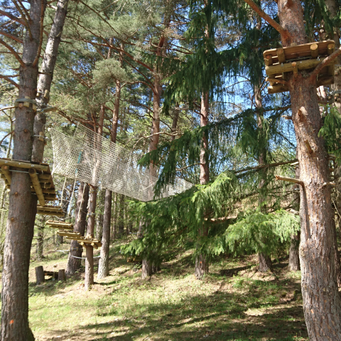 Parcours accrobranche avec niveaux Parcours accrobranche avec niveaux